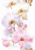 Декор Vilena Orchids 25х35 белый, TC2M051DT