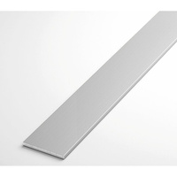 Полоса 20х2 мм (Анод Серебро) алюминиевая с анодированным покрытием, АД31Т1, длина 3,0 м