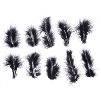 Набор перьев для декора 10 шт., размер 1 шт: 10 × 2 см, цвет черный Школа талантов