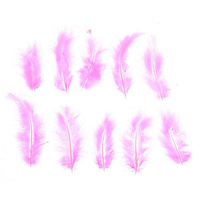 Набор перьев для декора 10 шт., размер 1 шт: 10 × 2 см, цвет розовый No brand