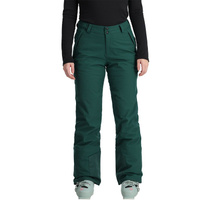 Раздел брюки Spyder, зеленый