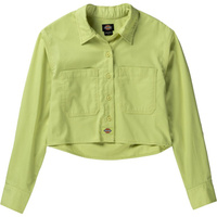 Рубашка с длинными рукавами culpeper Dickies, зеленый