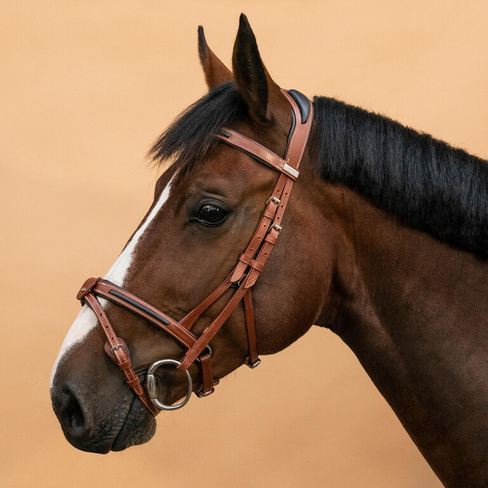 Уздечка Fouganza 900 для лошади и пони, коричневый / черный