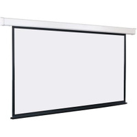 Экран Lumien Master Control LMC-100214, 240х174 см, 16:9, настенно-потолочный белый