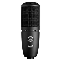 Конденсаторный микрофон AKG P120 General-Purpose Medium Diaphragm Cardioid Condenser Microphone
