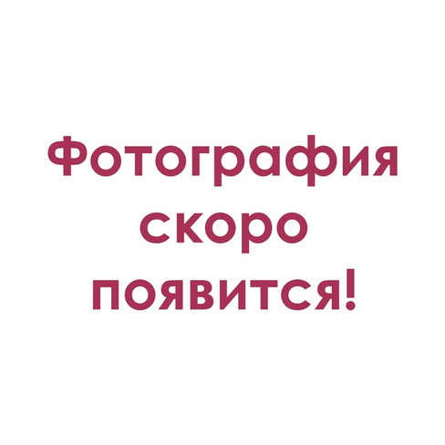 ЛАДОГА БАЗАЛЬТ КР-л-пу-1НФ-250х120х65-М200-F100