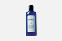 Hair Soap Cypress 240 мл Шампунь для ухода за чувствительной, сухой кожей головы LEBEL