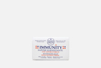 Immunity Hygienizing Bar Soap 150 г Мыло NESTI DANTE