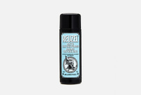 Matte Texture Powder 15 г Пудра для объема волос с матовым эффектом REUZEL