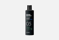 51 Shiny Grey shampoo 250 мл Пепельно-синий шампунь для волос ARTÈGO