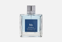 Mr. In Casual 100 мл Туалетная вода CHRISTINE LAVOISIER PARFUMS