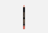 Lip pencil MATTE 2 г Толстый матовый карандаш для губ FARRES