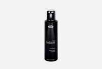 Fashion Styling Spray 250 мл Моделирующий лак сильной фиксации для укладки волос LISAP MILANO