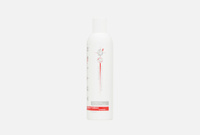 Double Action Shampoo Ricostruttore 250 мл Шампунь восстанавливающий HAIR COMPANY PROFESSIONAL